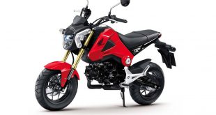Evaluation of Honda MSX 125 car - bold personality priced at 50 million 35