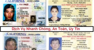 Dịch Vụ Đổi Bằng Lái Xe Của Mỹ Sang Việt Nam Nhanh Chóng 3