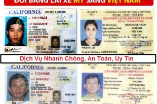 Dịch Vụ Đổi Bằng Lái Xe Của Mỹ Sang Việt Nam Nhanh Chóng 22