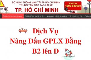 Dịch Vụ Nâng Dấu GPLX Bằng B2 Lên D 34