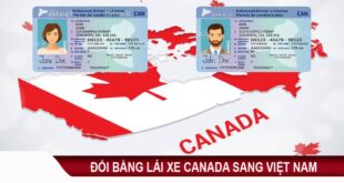 change canadian driver's license to vietnam