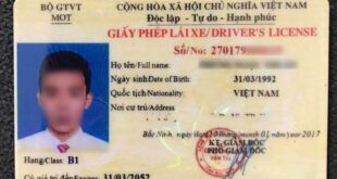 Change Old B1 Car Driver's License to New (Plastic Pet Card)