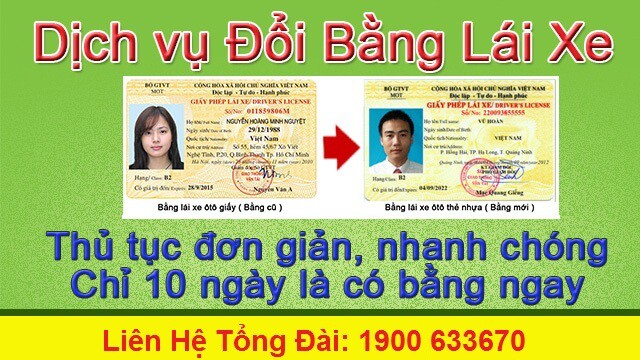 Translation for re-issuance of a lost, blurred or damaged class D driver's license