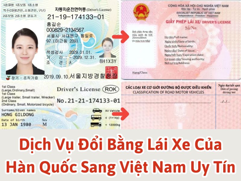 Dịch vụ đổi bằng lái xe của Hàn Quốc sang Việt Nam uy tín
