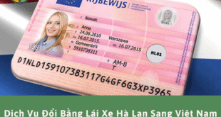 Dịch vụ đổi bằng lái xe Hà Lan sang Việt Nam nhanh chóng