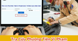 Tra cứu phương tiện vi phạm giao thông online chính xác nhất