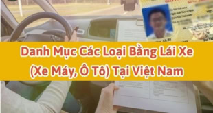 Danh mục các loại bằng lái xe (xe máy, ô tô) tại Việt Nam
