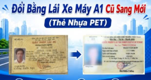 Đổi bằng lái xe máy A1 cũ sang mới (thẻ PET)