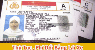 Thủ Tục & Phí Đổi Bằng Lái Xe Indonesia Sang Việt Nam Tại HCM 19 Dịch vụ đổi bằng lái xe Indonesia sang Việt Nam
