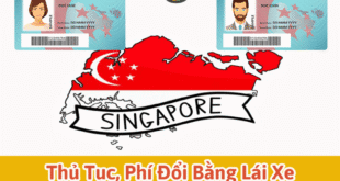 Thủ Tục & Phí Đổi Bằng Lái Xe Singapore Sang Việt Nam tại HCM 1 Thủ tục & phí đổi bằng lái xe Singapore sang Việt Nam tại HCM