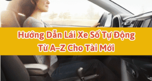 Hướng Dẫn Lái Xe Số Tự Động Từ A–Z Cho Tài Mới