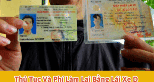 Thủ Tục Và Phí Làm Lại Bằng Lái Xe D bị mất, hư mờ, Hư Mờ Ở HCM 7 Thủ tục và phí làm lại bằng lái xe D bị mất, hư mờ, hư mờ ở HCM