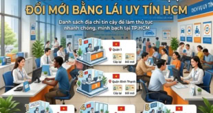 Top văn phòng cấp lại, đổi mới bằng lái xe tại HCM uy tín