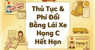 Thủ tục & chi phí đổi bằng lái xe hạng C tại HCM