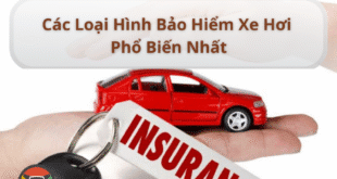 Các loại hình bảo hiểm xe hơi phổ biến nhất