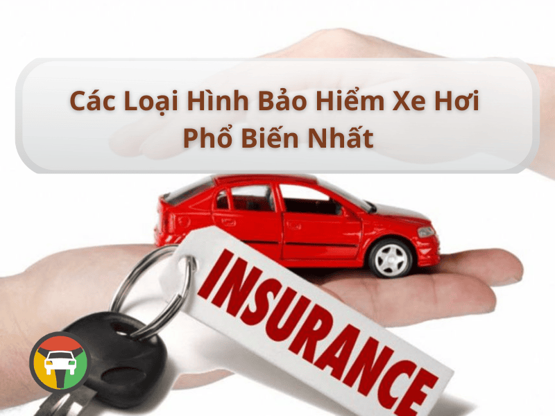 Top 05 Loại Hình Bảo Hiểm Xe Hơi Phổ Biến Nhất 7 Các loại hình bảo hiểm xe hơi phổ biến nhất