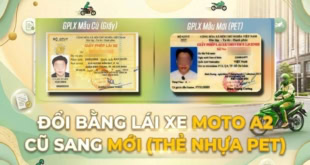 Dịch vụ đổi bằng lái xe mô tô A2 cũ sang mới tại HCM