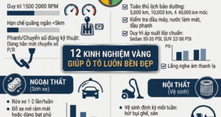 Kinh nghiệm vàng giúp ô tô luôn bền, đẹp