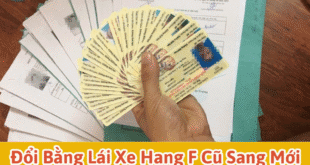 Đổi Bằng Lái Xe Hạng F Cũ Sang Mới (Thẻ Nhựa PET) 1 Đổi bằng lái xe hạng Fcũ sang mới (thẻ nhựa PET)