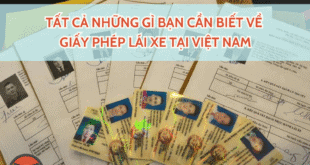 Tất cả những gì bạn cần biết về giấy phép lái xe tại Việt Nam