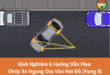 Kinh nghiệm & hướng dẫn mẹo ghép xe ngang oto vào nơi đỗ (Hạng B)