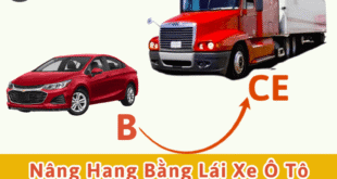 Nâng hạng bằng lái xe ô tô bằng B (B2 cũ) lên CE (FC cũ)