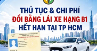Tìm hiểu thủ tục và chi phí đổi bằng lái xe B1 hết hạn tại HCM