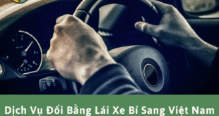 Dịch vụ đổi bằng lái xe Bỉ sang Việt Nam nhanh chóng
