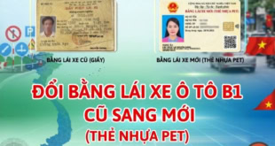 Dịch vụ đổi bằng lái xe ô tô B1 cũ sang mới (sang thẻ PET)