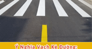 Ý nghĩa vạch kẻ đường: Hiểu để đi đúng luật