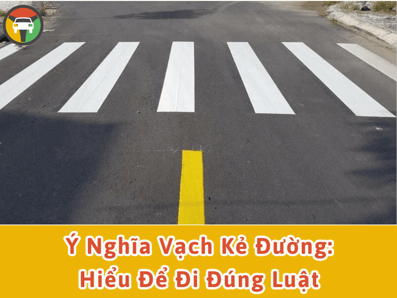 Ý nghĩa vạch kẻ đường: Hiểu để đi đúng luật
