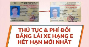 Thủ tục và chi phí đổi bằng lái xe hạng E hết hạn
