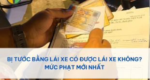 Bị tước bằng lái xe có được lái xe không?