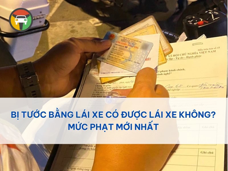 Bị Tước Bằng Lái Xe Có Được Lái Xe Không? Mức Phạt Mới Nhất 6 Bị tước bằng lái xe có được lái xe không?