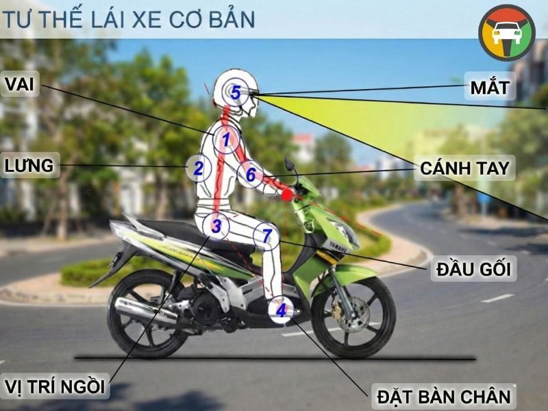 Tư Thế Ngồi Lái Xe Máy Chuẩn Không Bị Mỏi Lưng 10 Tư thế lái xe máy cơ bản