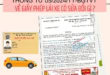 Thông Tư 05/2024/TT-BGTVT Về Giấy Phép Lái Xe Có Sửa Đổi Gì? 18