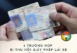 trường hợp bị thu hồi giấy phép lái xe
