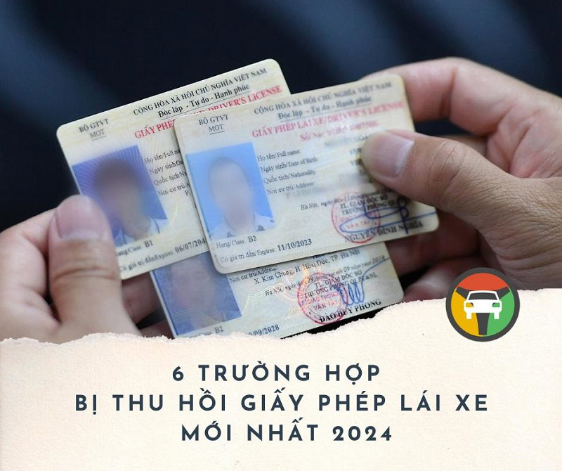 trường hợp bị thu hồi giấy phép lái xe