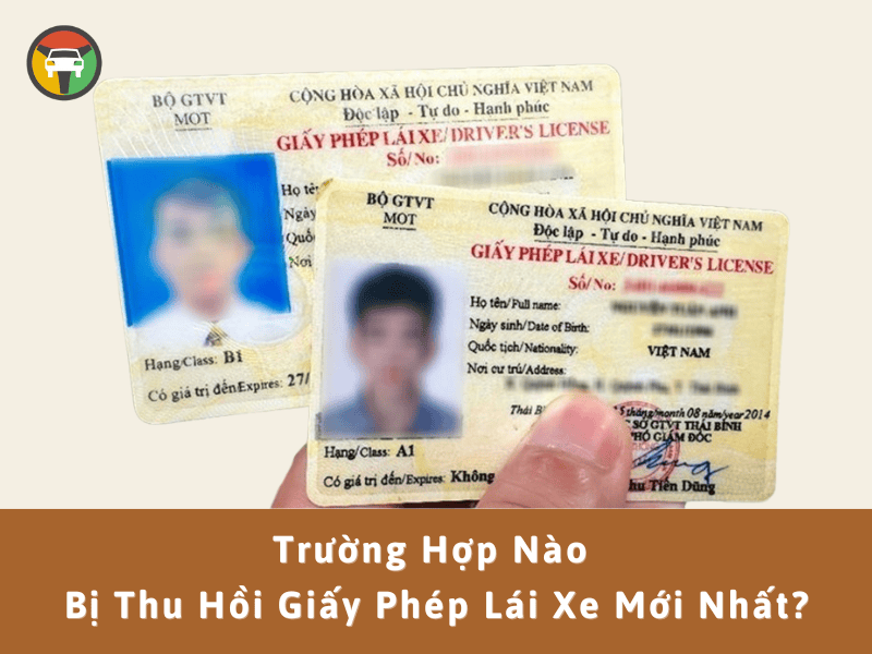 6 Trường Hợp Bị Thu Hồi Giấy Phép Lái Xe Mới Nhất 6 Trường hợp nào bị thu hồi giấy phép lái xe mới nhất?