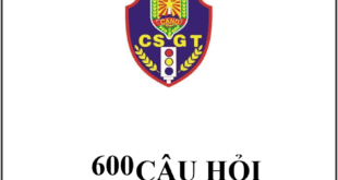600 CÂU HỎI SÁT HẠCH LÁI XE CƠ GIỚI ĐƯỜNG BỘ THEO QUY ĐỊNH MỚI 2025 5