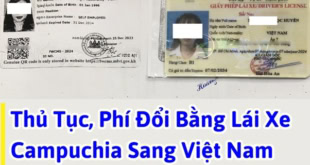 Thủ Tục & Phí Đổi Bằng Lái Xe Campuchia Sang Việt Nam Tại HCM