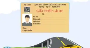 Mức phạt khi điều khiển xe ô tô điện không có bằng lái hoặc không mang theo