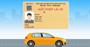 Tổng quan về bằng lái xe hạng B và C1