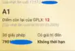 Phục Hồi Điểm Giấy Phép Lái Xe – Thủ Tục & Quy Định Mới 42 Điểm giấy phép lái xe là gì? Khi nào được phục hồi?