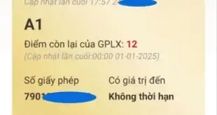 Điểm giấy phép lái xe là gì? Khi nào được phục hồi?