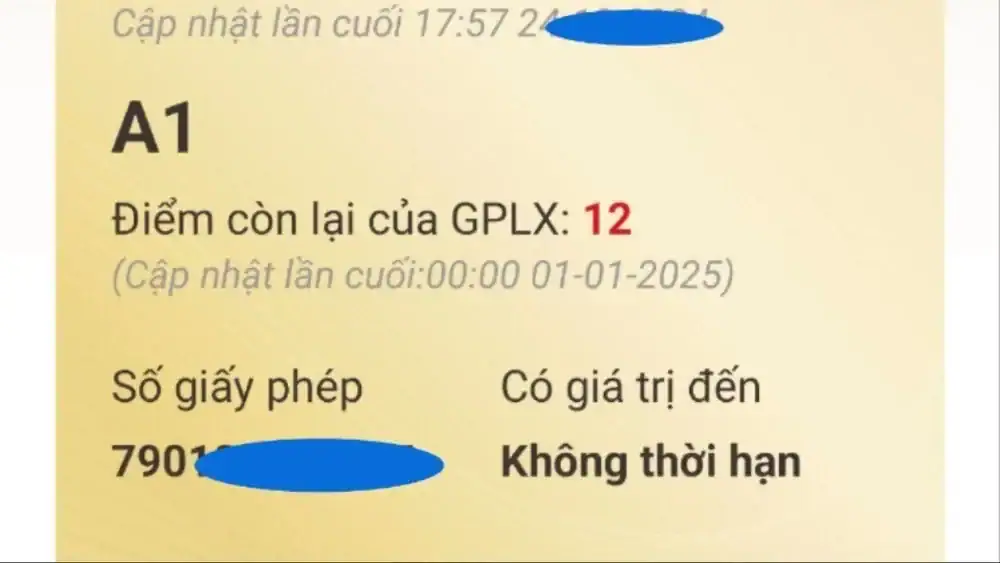 Phục Hồi Điểm Giấy Phép Lái Xe 2025 – Thủ Tục & Quy Định Mới 5 Điểm giấy phép lái xe là gì? Khi nào được phục hồi?