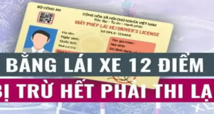 Trừ Bao Nhiêu Điểm Giấy Phép Lái Xe Thì Phải Thi Lại? Quy Định Mới Từ 2025 2