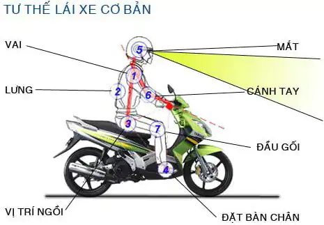 Chuẩn bị tư thế lái và khởi động xe