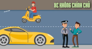 Lỗi lái xe ô tô không chính chủ là gì?