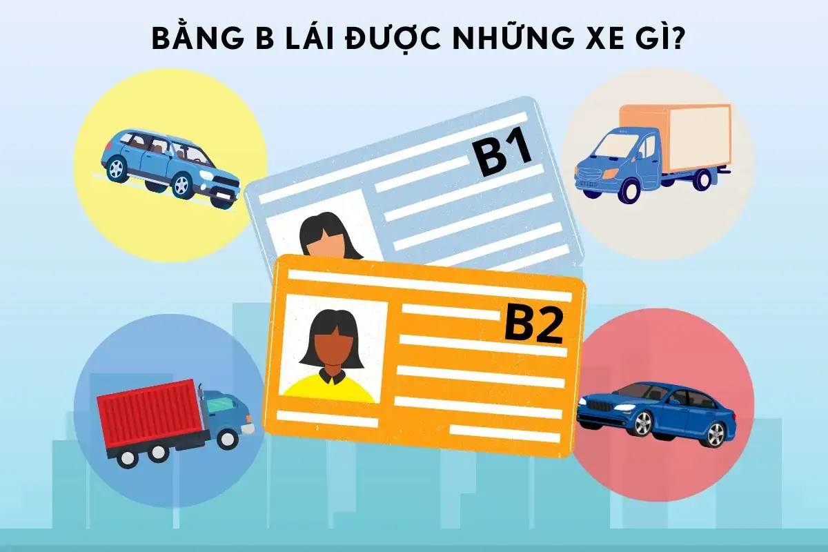 Bằng B Lái Xe Gì Theo Luật Mới? Cập Nhật Quy Định Mới Nhất 2025 4 Bằng B Lái Xe Gì Theo Luật Mới? Cập Nhật Quy Định Mới Nhất 2025